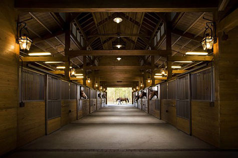 Equestrian Clubs in Amman